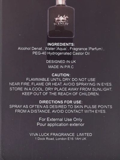 VV Love Scenery Для мужчин Мужская туалетная вода 100 мл