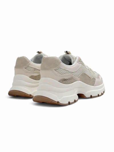 Royalfashion Women's sports sneakers Totter