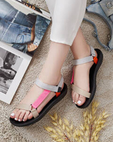 Разноцветный  || wielokolorowy