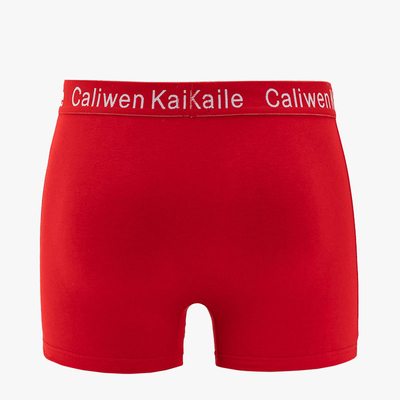 Sarkani vīriešu Ziemassvētku bokseršorti - Apakšveļa