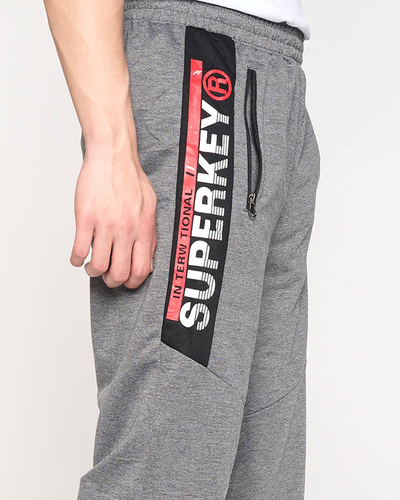 Gray men's sweatpants with inscriptions - Clothing