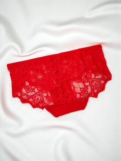 Women's Lace Briefs