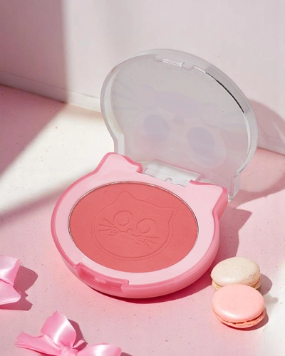 Kevin&Coco Kaķu Sviestmaižu Pagaidi Blush Persiku