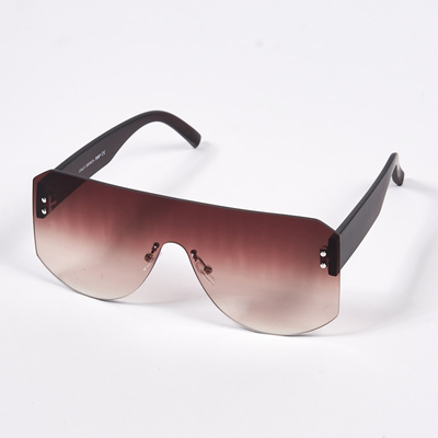 Ladies' brown square sunglasses - accessories