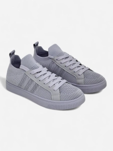 pigeon gray