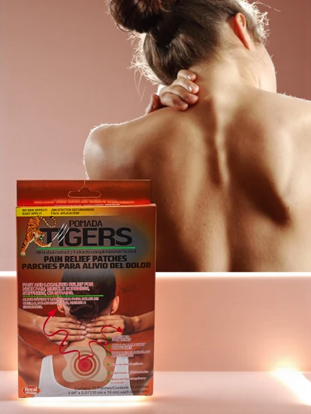Pain Relief Patches for Neck and Shoulders, 10 pieces