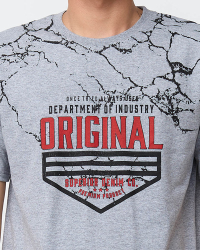 Men's gray t-shirt with print - Clothing