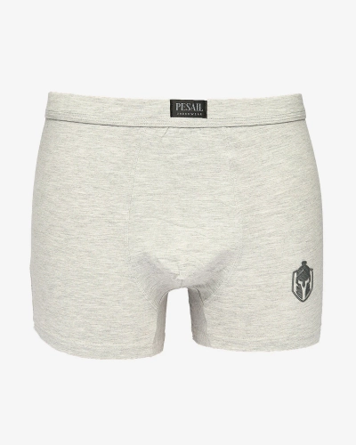 Royalfashion Light grey men's boxers with patch