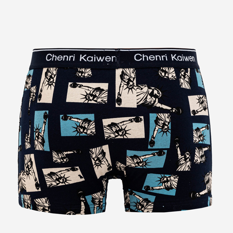 Navy blue men's boxer shorts with print - Underwear