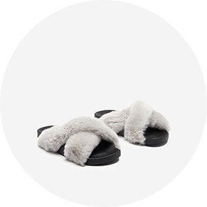 Gaiši pelēks || balodis pelēks