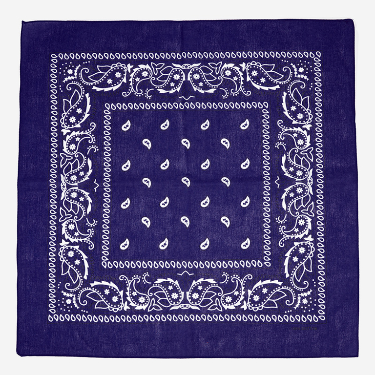 Navy blue bandana scarf - Accessories