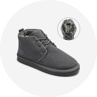 Tumši pelēks || balodis pelēks