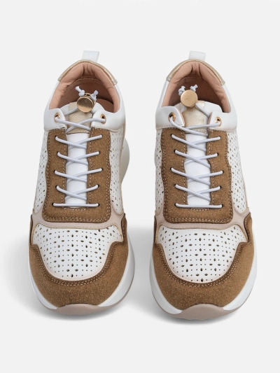 Royalfashion Women's Wedge Sneakers Zerrni