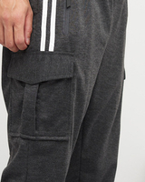 Tumši pelēks || balodis pelēks