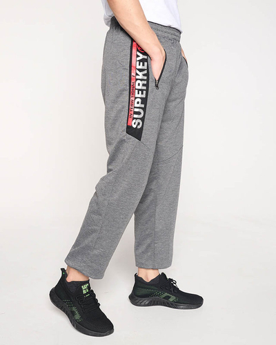 Gray men's sweatpants with inscriptions - Clothing